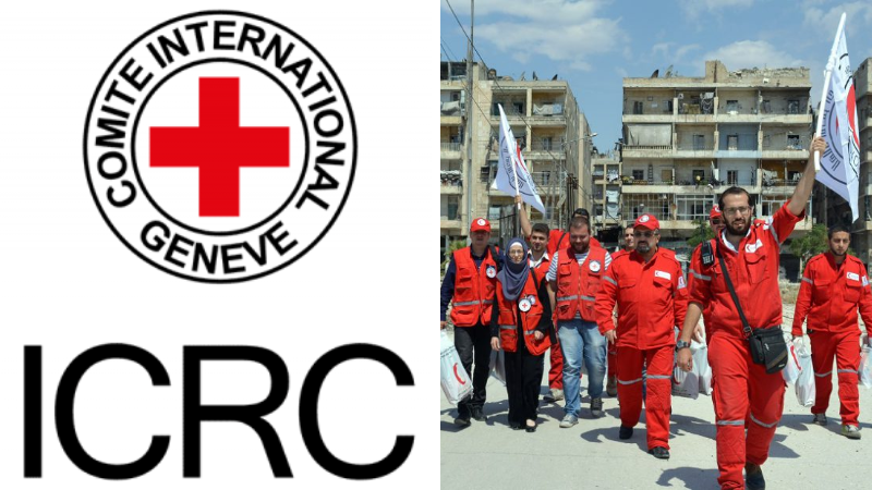 Jobnet international red cross